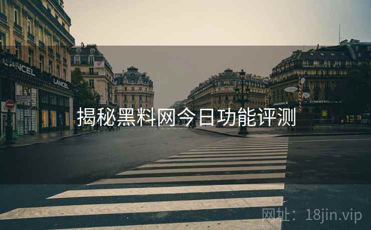 揭秘黑料网今日功能评测
