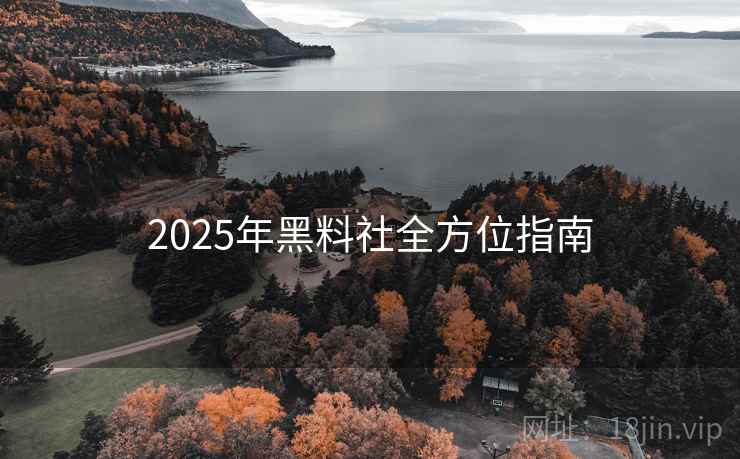 2025年黑料社全方位指南