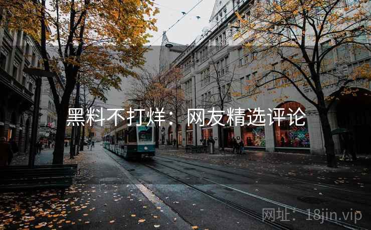 黑料不打烊：网友精选评论