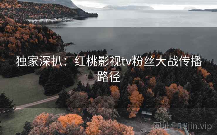 独家深扒：红桃影视tv粉丝大战传播路径