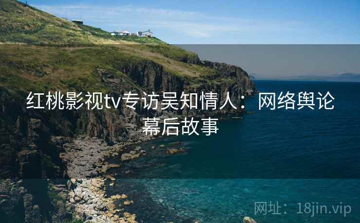 红桃影视tv专访吴知情人：网络舆论幕后故事