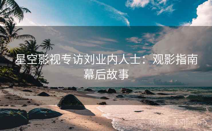 星空影视专访刘业内人士：观影指南幕后故事